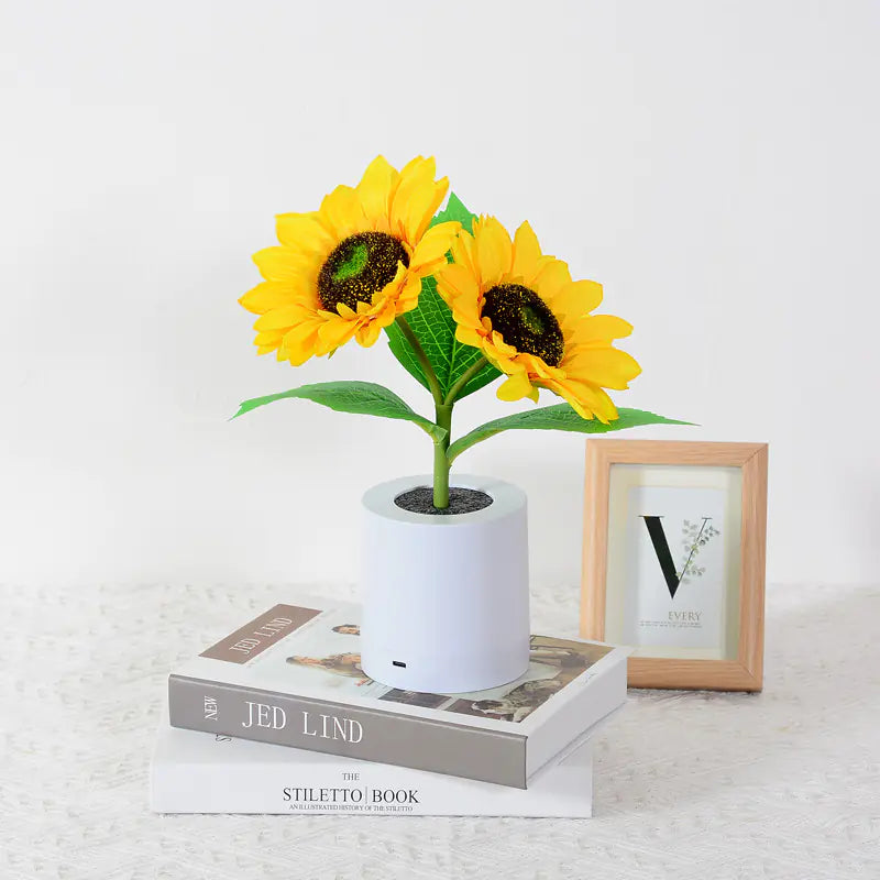 Girasol Luz Nocturna LED Recargable